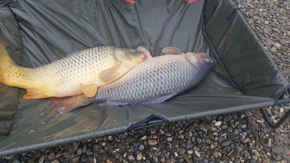 Cupa Toamnei !  8 - 11 octombrie 2015 - 121661469423758024965392127096507n.jpg